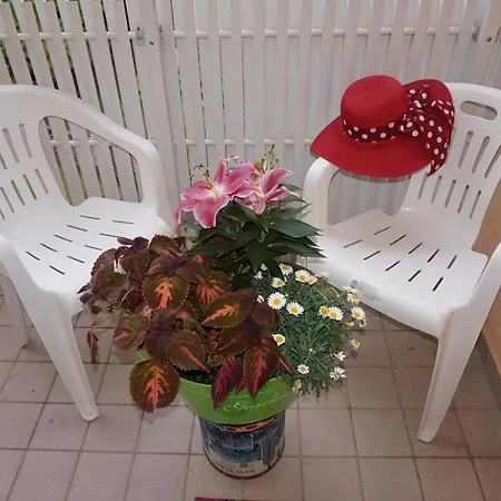 Condominio Tigli Holiday home *